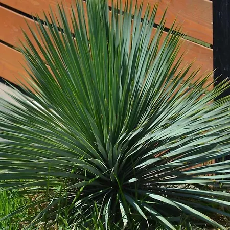 Apartament Zephyr Luxe Sea And Mountain View Sgourou